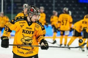 aop_kuuslaemil20251028