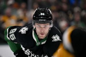 aop_rantanenmikko20251210