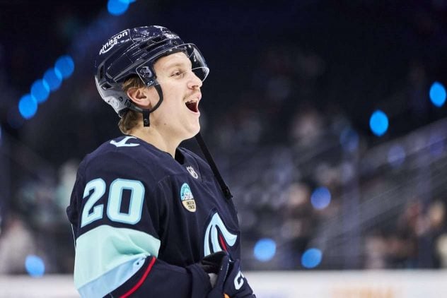 aop_tolvaneneeli20251229