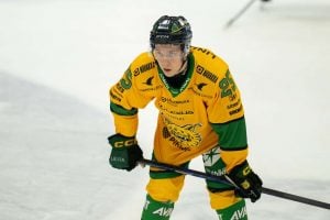 aop_heikkineniivari20260109