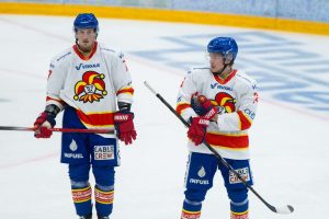 aop_rikkilähugo20250801