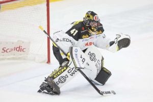 aop_rubinniklas20260129