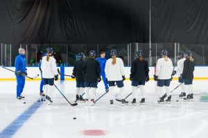 aop_Naisleijonat20260206