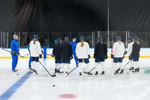 aop_Naisleijonat20260206