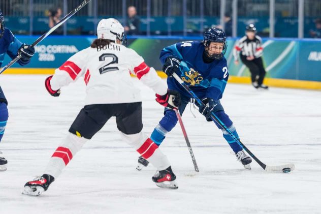 aop_VainikkaViivi202600210