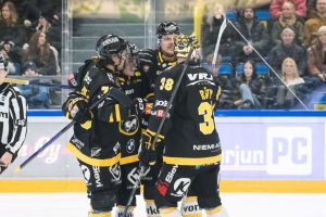 aop_kärpätkuvitus20260124