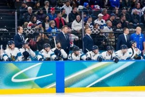 aop_leijonat20260211