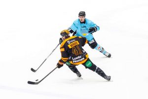 aop_kookoopelicans20260328