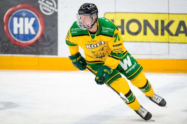 aop_lepausteemu20210306