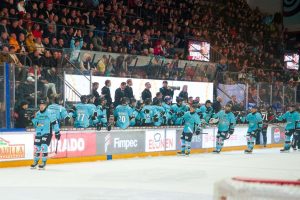 aop_pelicans20260323