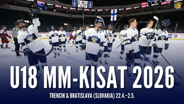 aop_pikkuleijonatmmseo2026