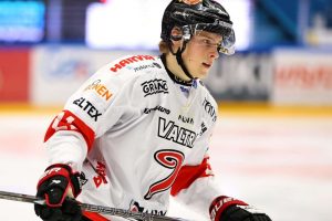 aop_vuontisvaaraossiveikka20260303