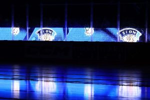 aop_leijonatkuvitus220260428