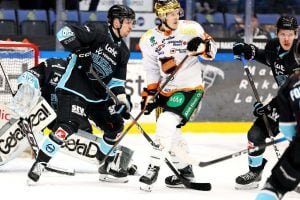 aop_pelicanskookoo20260404