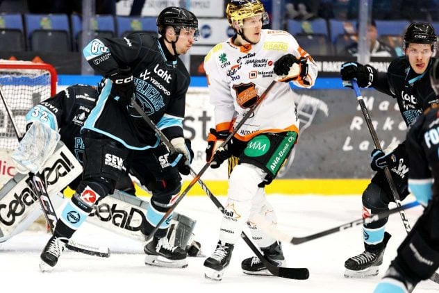 aop_pelicanskookoo20260404