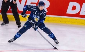 aop_borgstromhenrik20260502