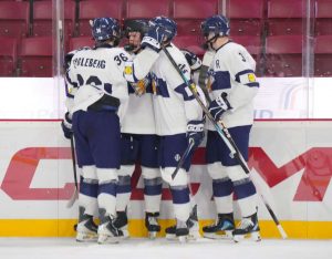 aop_pikkuleijonat20260809